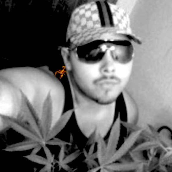 Meet your Posher, Jerry - Picture 3 of 3